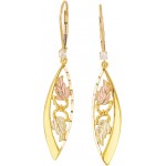 CZ Accent Lever Back Earrings - by Mt Rushmore